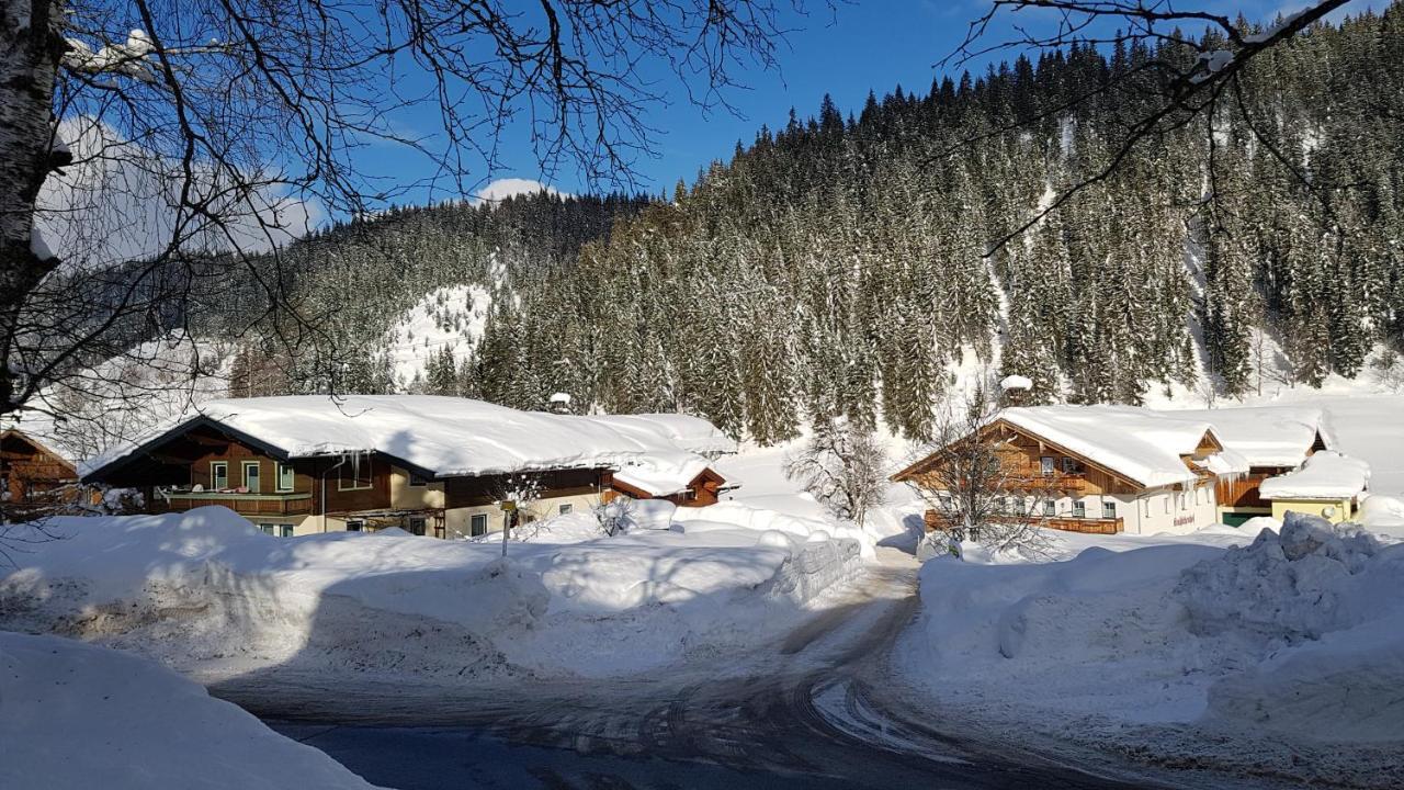 Bauernhof Krahlehenhof Villa Filzmoos Eksteriør bilde